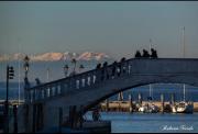 Top Chioggia