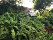 Tamarind Cottage by Bluescape