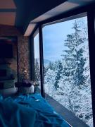 Penthouse luxury Predeal View