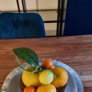 Top Zagreb Top Zagreb