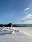 Agroturystyka Pod Gronikami