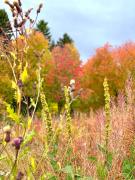 Appartement in Jämtland bij Gusto Stables ...