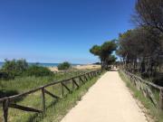 Top Bibione