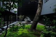 Top Kyoto