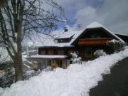 Top Eisentratten
