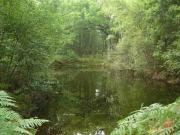 Maison Rustique Familiale en Sologne avec Grands Espaces, Proche Châteaux de la Loire - FR-1-590-1