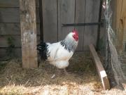 Top Dommartin-aux-Bois