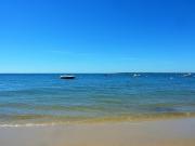 Top Arcachon