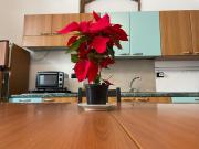 Catania centro storico camere