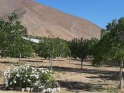 Top Horcon Top Horcon