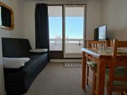 Studio cabine fonctionnel pour 4 personnes, animaux admis - FR-1-340-74