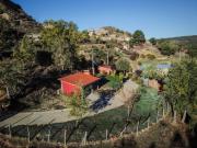 Top Buenache de la Sierra