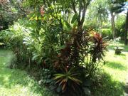 Villa Bhuana Alit Ubud Villa Bhuana Alit Ubud