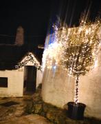 Top Alberobello