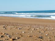 Appartement T3 avec Piscine à 200m de la Côte Sauvage et Proche Plages - Les Sables-dOlonne - FR-1-92-602