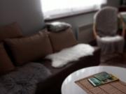 Top Nowa Biała Top Nowa Biała