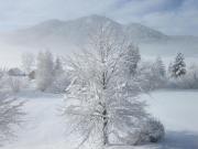 Top Weissensee