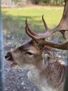 Top Bad Harzburg Top Bad Harzburg