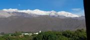 Top Cachí