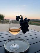 Top Saint-Étienne-de-Sermantin