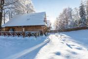 Top Zakopane