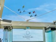 Top Lido di Jesolo Top Lido di Jesolo