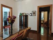 Condesa, a walk in the park