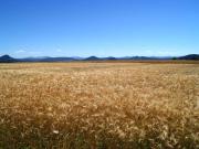 Maison familiale au cœur de la Haute-Loire - Randos et découverte du Puy-en-Velay - FR-1-582-322