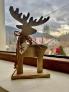 Lovely & Cozy Apartment