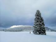 Top Wambierzyce Top Wambierzyce