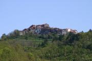 Top Montieri