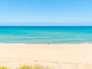 Top Codaruina Top Codaruina