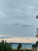 Estrella azul Blue star