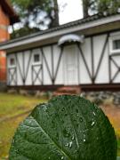 Top Gramado