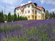 Levendula Apartman Bükkszentkereszt Levendula Apartman Bükkszentkereszt
