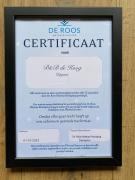 Chalet - B&B de Koog