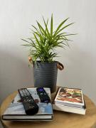 Departamento en el corazón de Guemes!