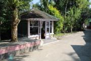 Top Hatikhuli