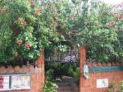 Minshuku Itoman Garigari Oshiro - Vacation STAY 25712v