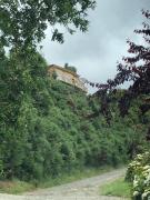 Top Castro Top Castro