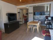 T3 60m² 67 pers à 50m des pistes, animaux acceptés, linge inclus hiver - FR-1-636-222