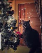 Top Kalwaria Pacławska Top Kalwaria Pacławska