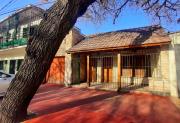 Top Mendoza