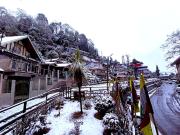 Marigold Manor Homestay