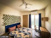 Top Noida Top Noida