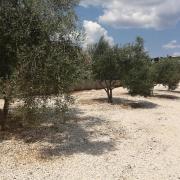 Camping Sukošan Beach