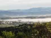 Top Steinakirchen am Forst