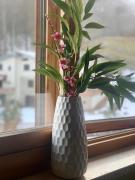 Top Villaggio Laceno