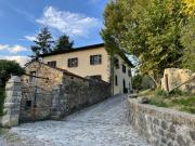 Top Pugliano