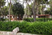 Mobile homes in Camp Soline at Biograd, with sand- and pebble beach